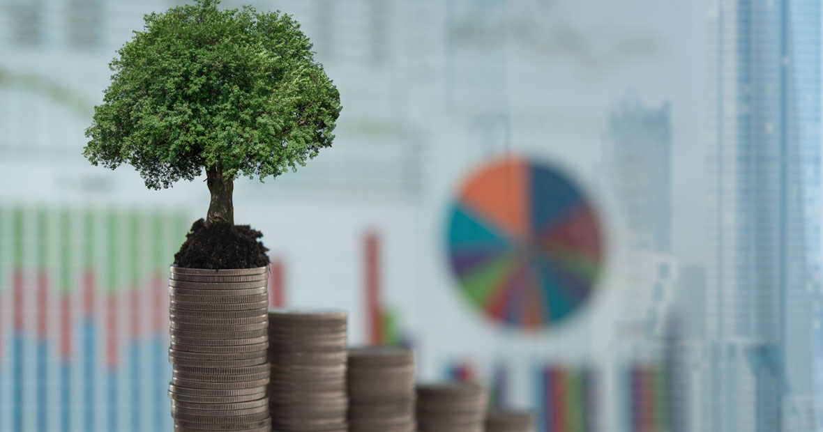 Arbre et pièces investissements fonds verts